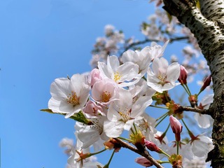 50553596-923E-4326-876F-C5C3BB4044D2/L0/001