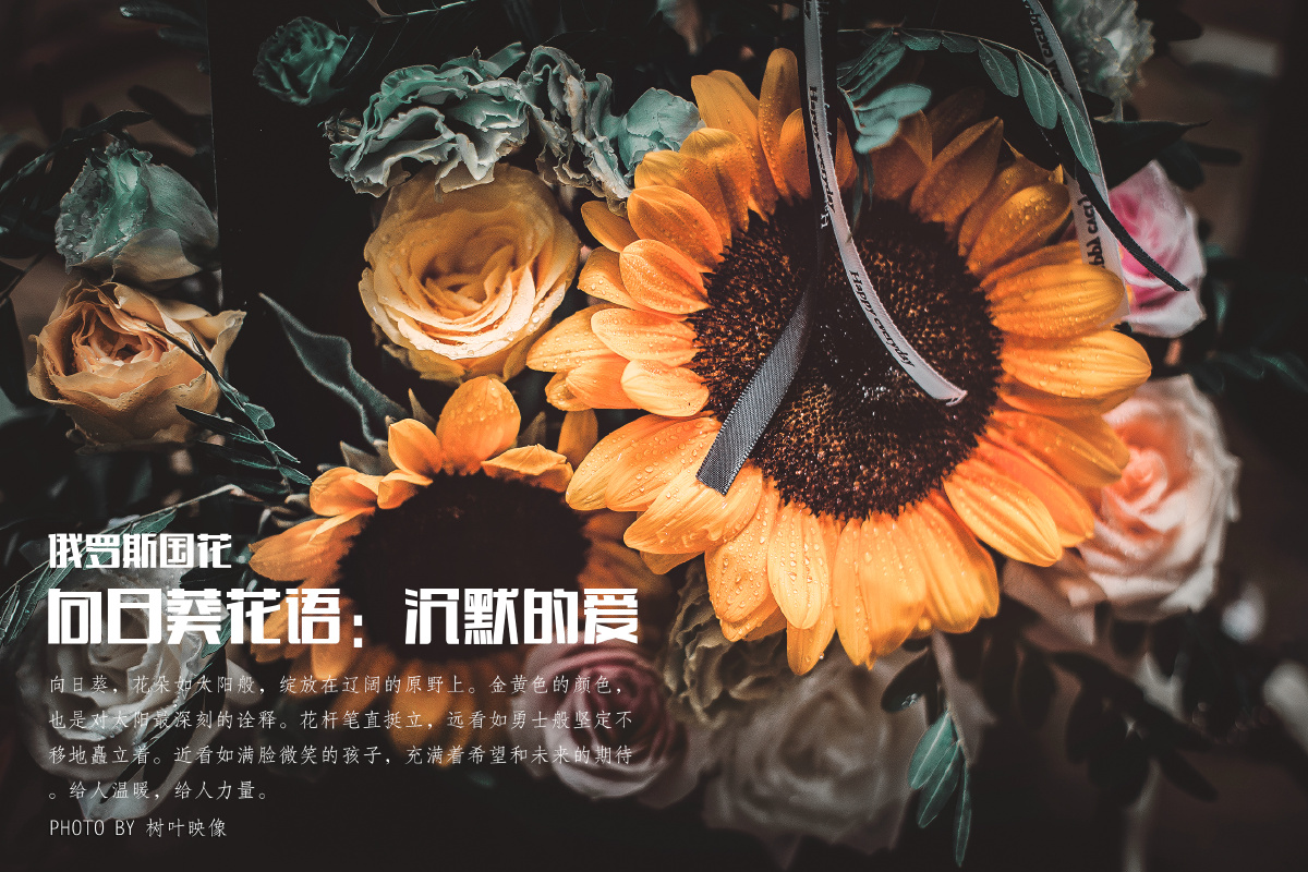 我们都曾有过沉默的爱