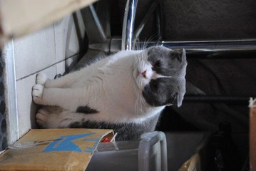 DSC_0029.JPG