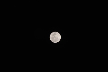 DSC_0090.JPG