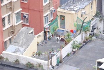DSC_0230.JPG