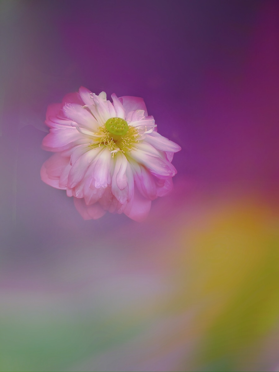 作品梦幻华为p30pro