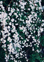 784E757C-26FA-432C-88D5-96C1BC10F427/L0/001
