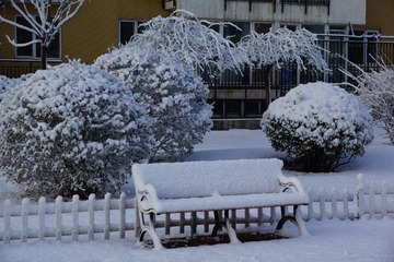 DSC02596.JPG