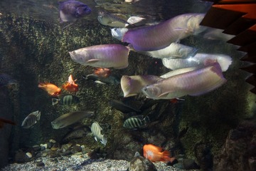 DSC01769.JPG