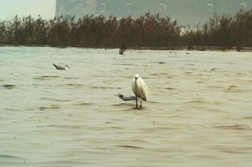 DSC03426光调