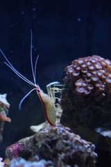 DSC05256a