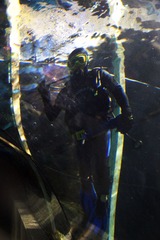 DSC05306a