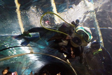 DSC05307a