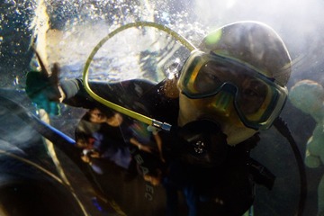 DSC05308a