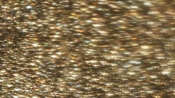 22501