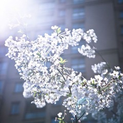 IMG_2545.jpg