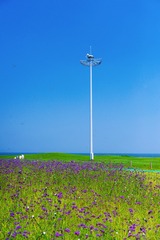 3AE90BD0-5D8F-49BC-9CB2-28795C6E62AE/L0/001