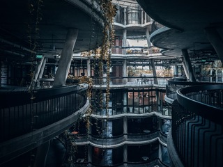 245230