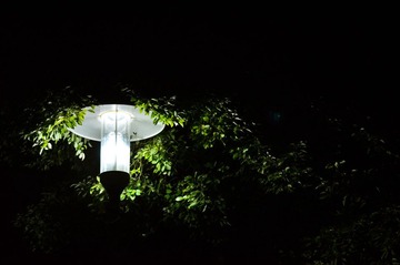 FEU_3800.jpg