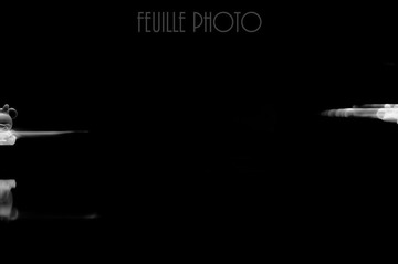 FEU_4596-2.jpg