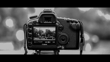 _MG_5531.jpg