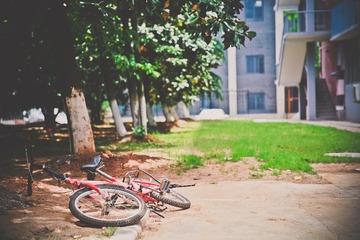 _MG_6641.jpg