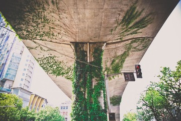 _MG_6883.jpg