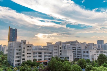 _MG_0139.jpg