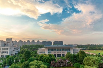 _MG_0172.jpg