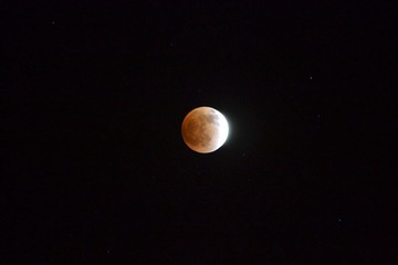 DSC_0132.JPG