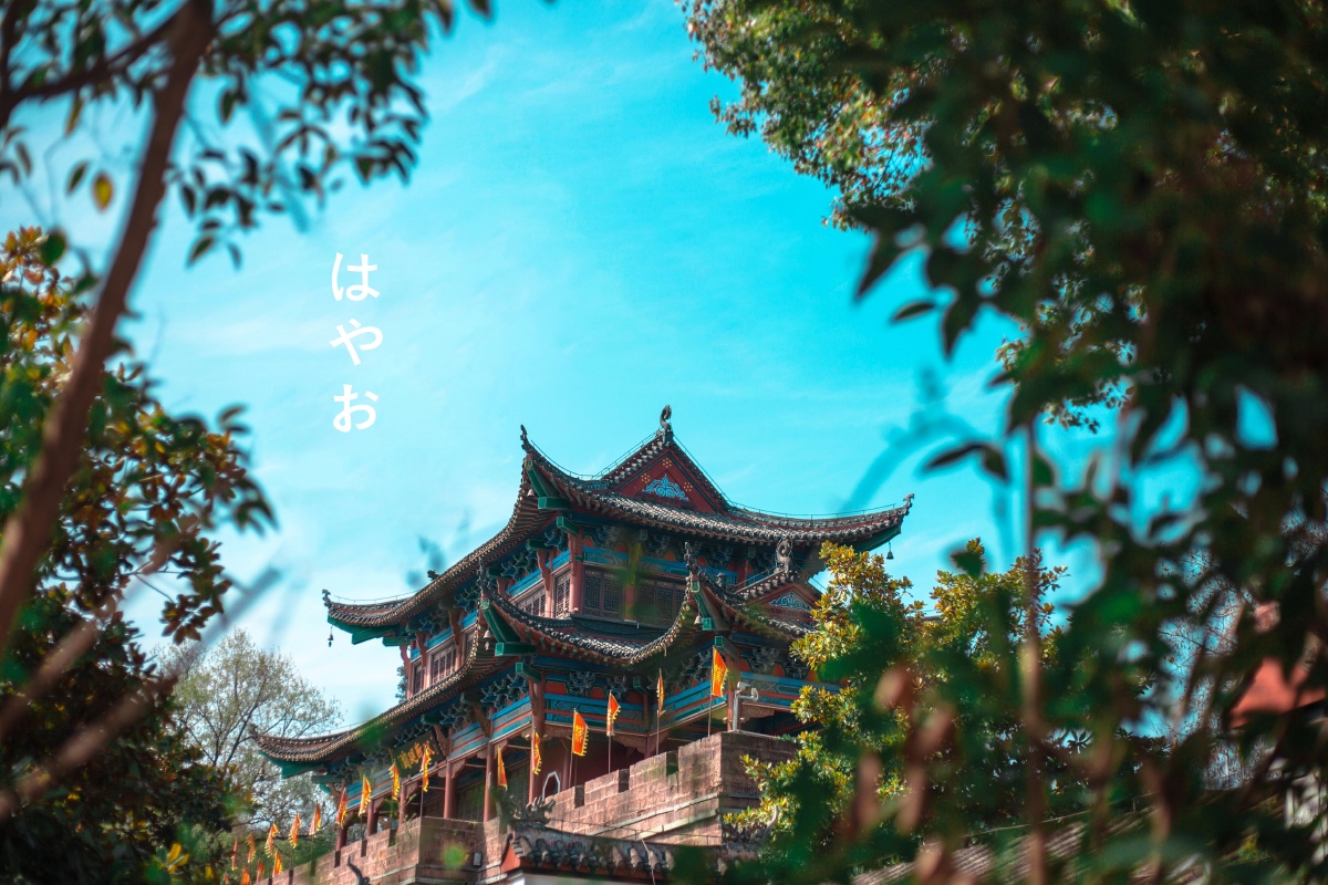 武汉晴川阁樱花拍摄宫崎骏色调