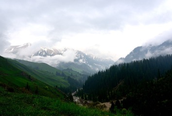 DSC_0079.JPG