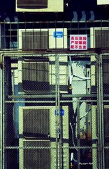 IMGrP0014