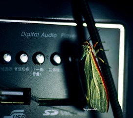 musician nurturance (8)