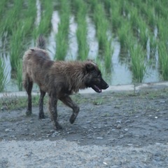DSCF1141.jpg