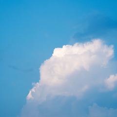 DSCF1148.jpg