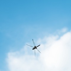 S0791283.jpg