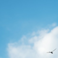 S0791284.jpg