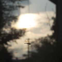 S0891304.jpg
