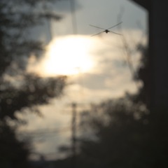 S0901305.jpg
