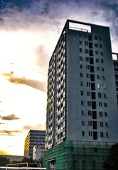 11816