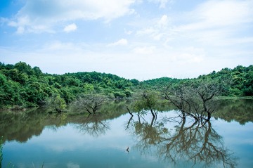 DSC_1522-3