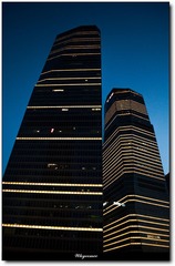 上海-8