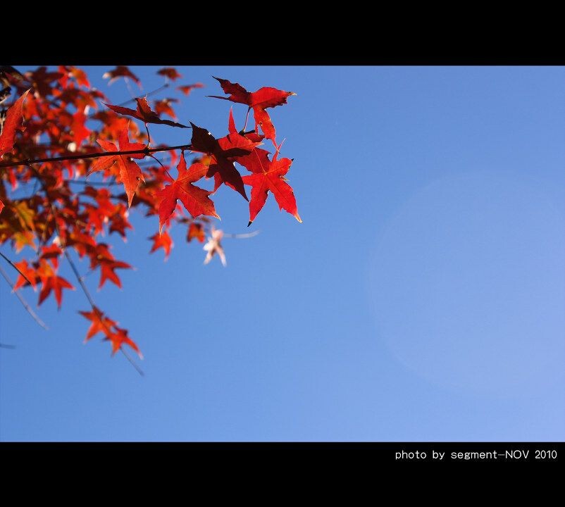 110101<br />
