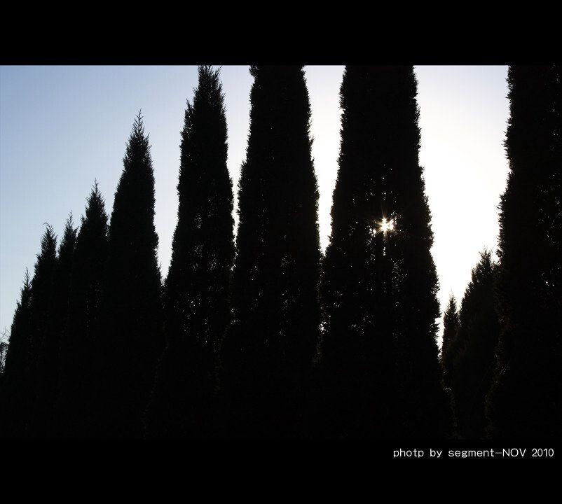 110104<br />
