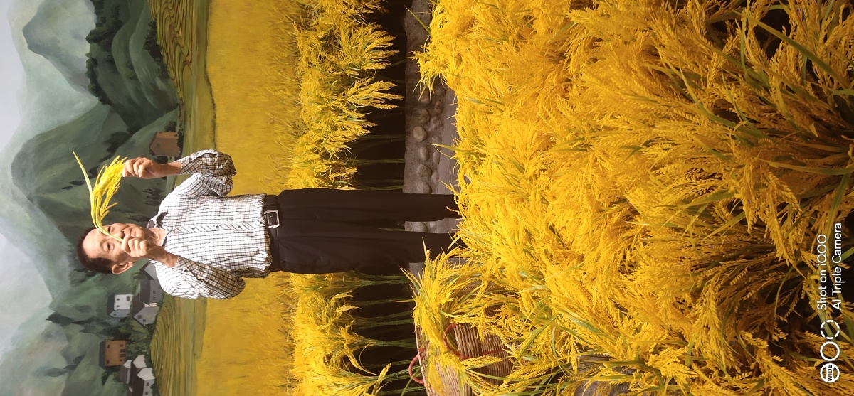 怀念袁老请大家珍惜粮食粒粒皆辛苦