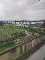 1000003245