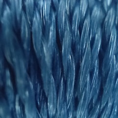 1000016996