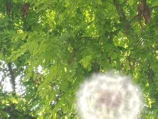 1118074