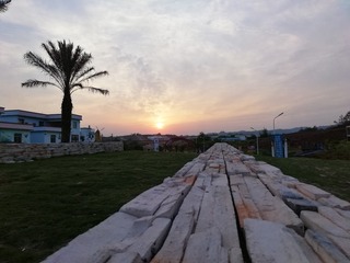 523861