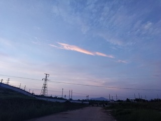 524534