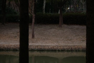1000016731