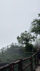 889005