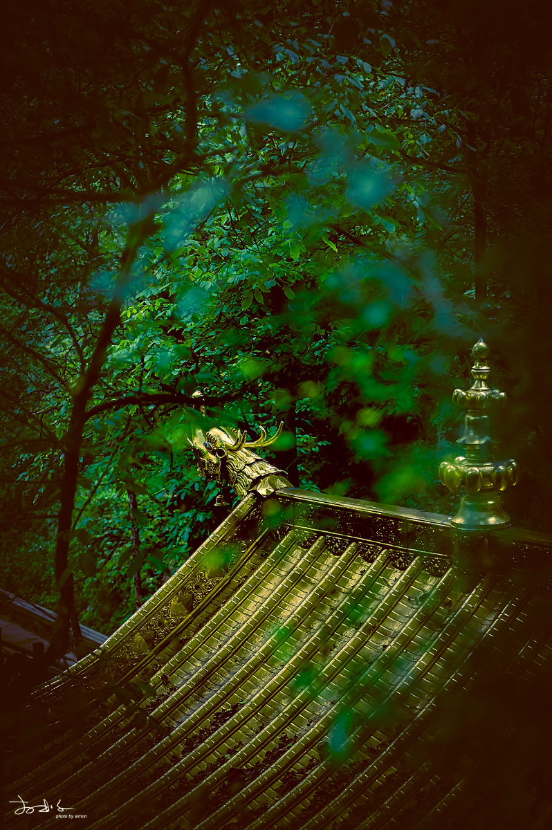 金碧辉煌寺院一角